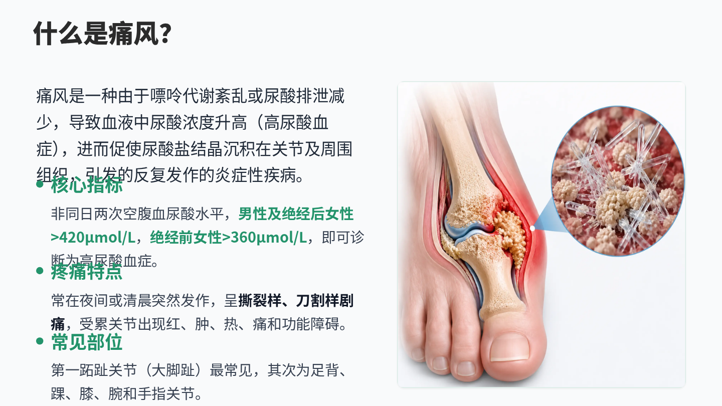 痛风健康宣教 第3页