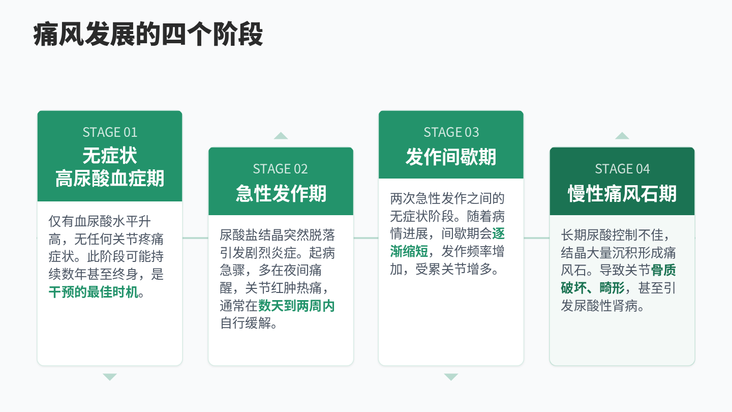 痛风健康宣教 第4页