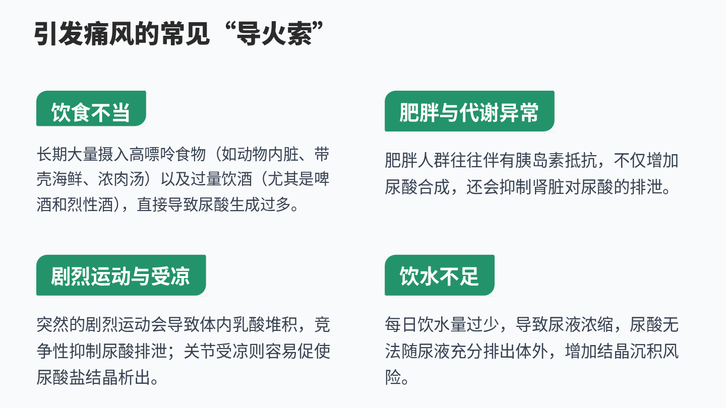 痛风健康宣教 第5页