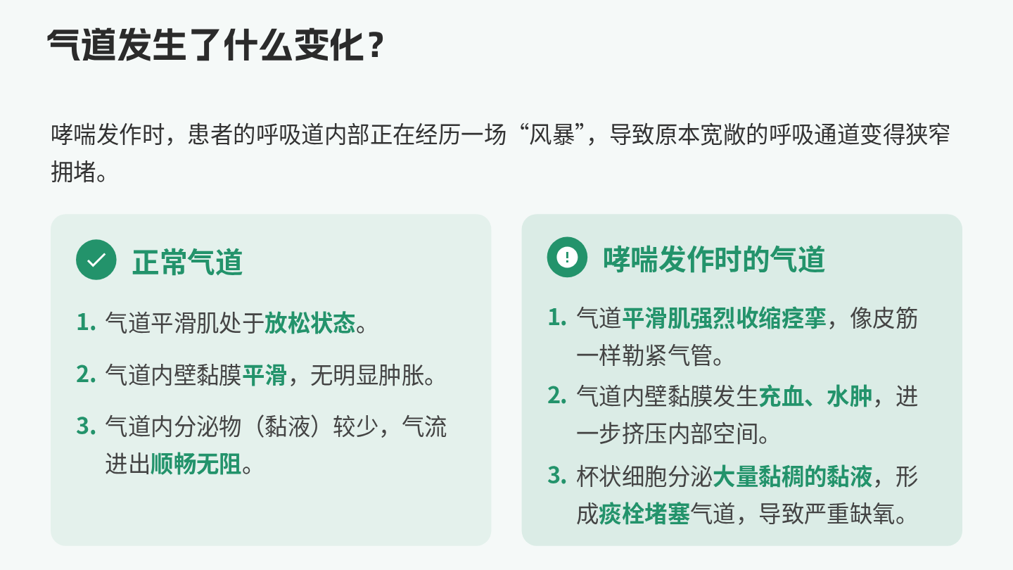 哮喘健康宣教 第5页