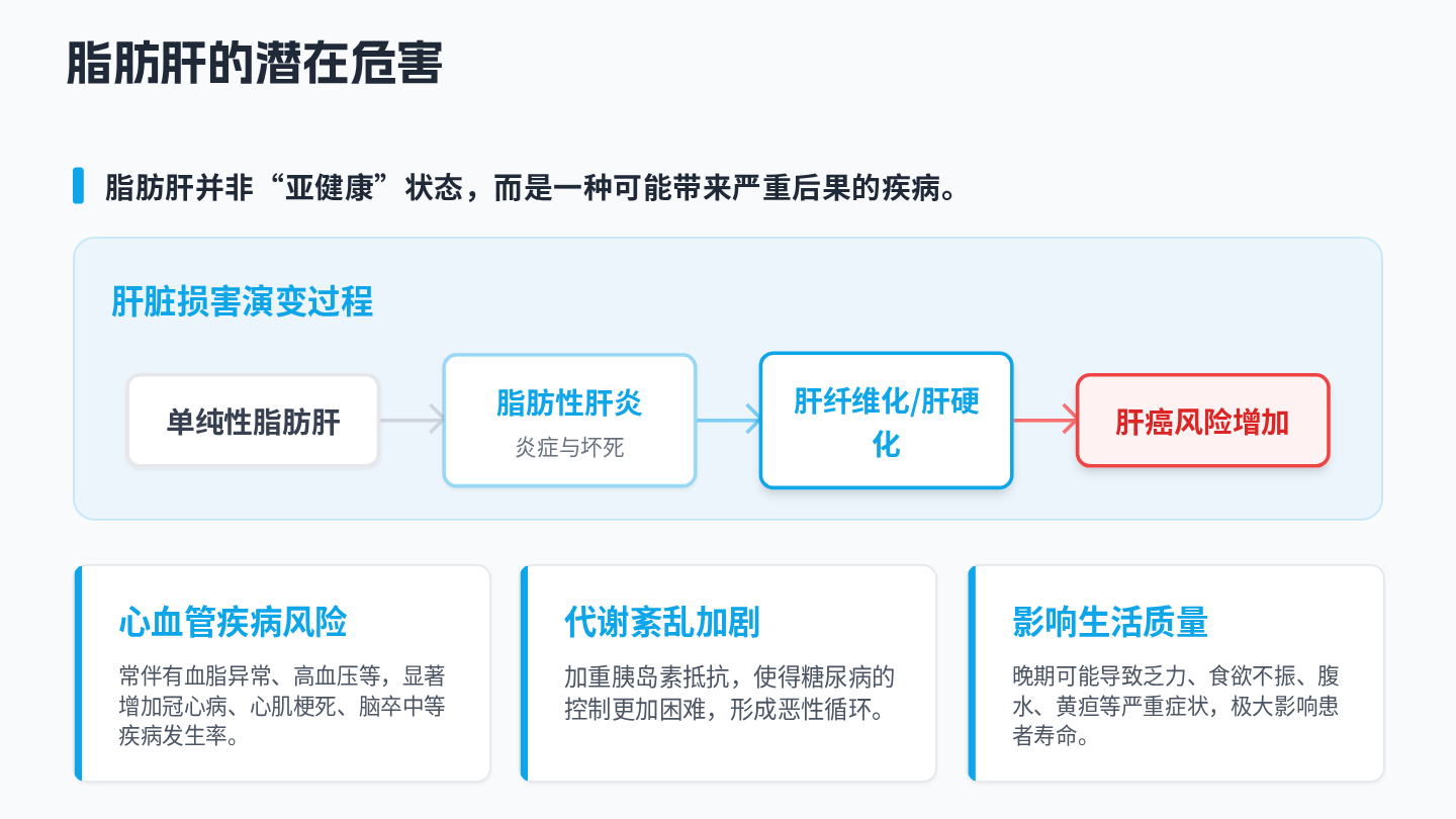 脂肪肝健康宣教 第8页