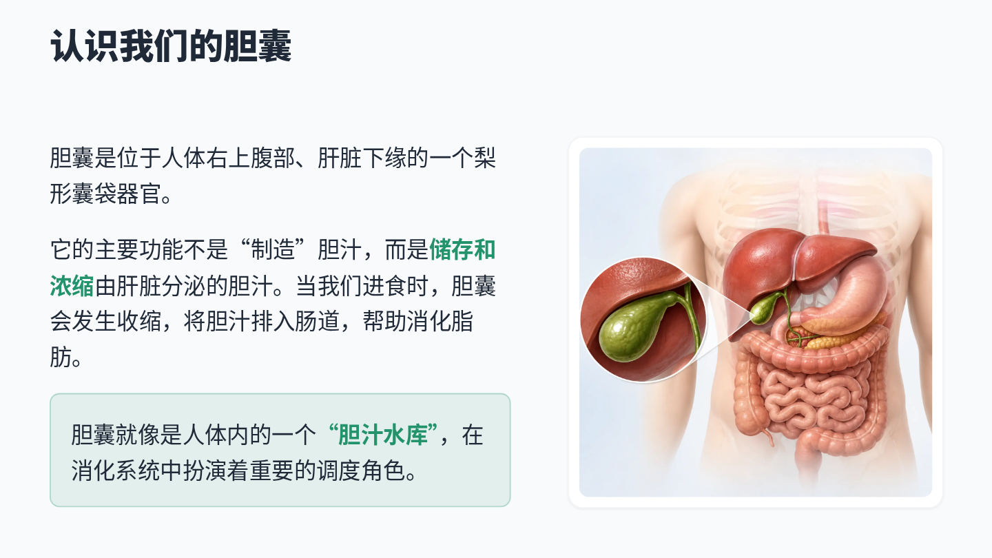 胆结石健康宣教 第2页