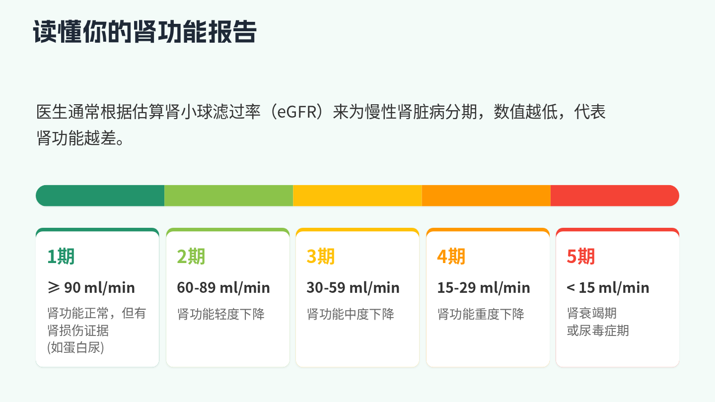 慢性肾脏病健康宣教 第11页