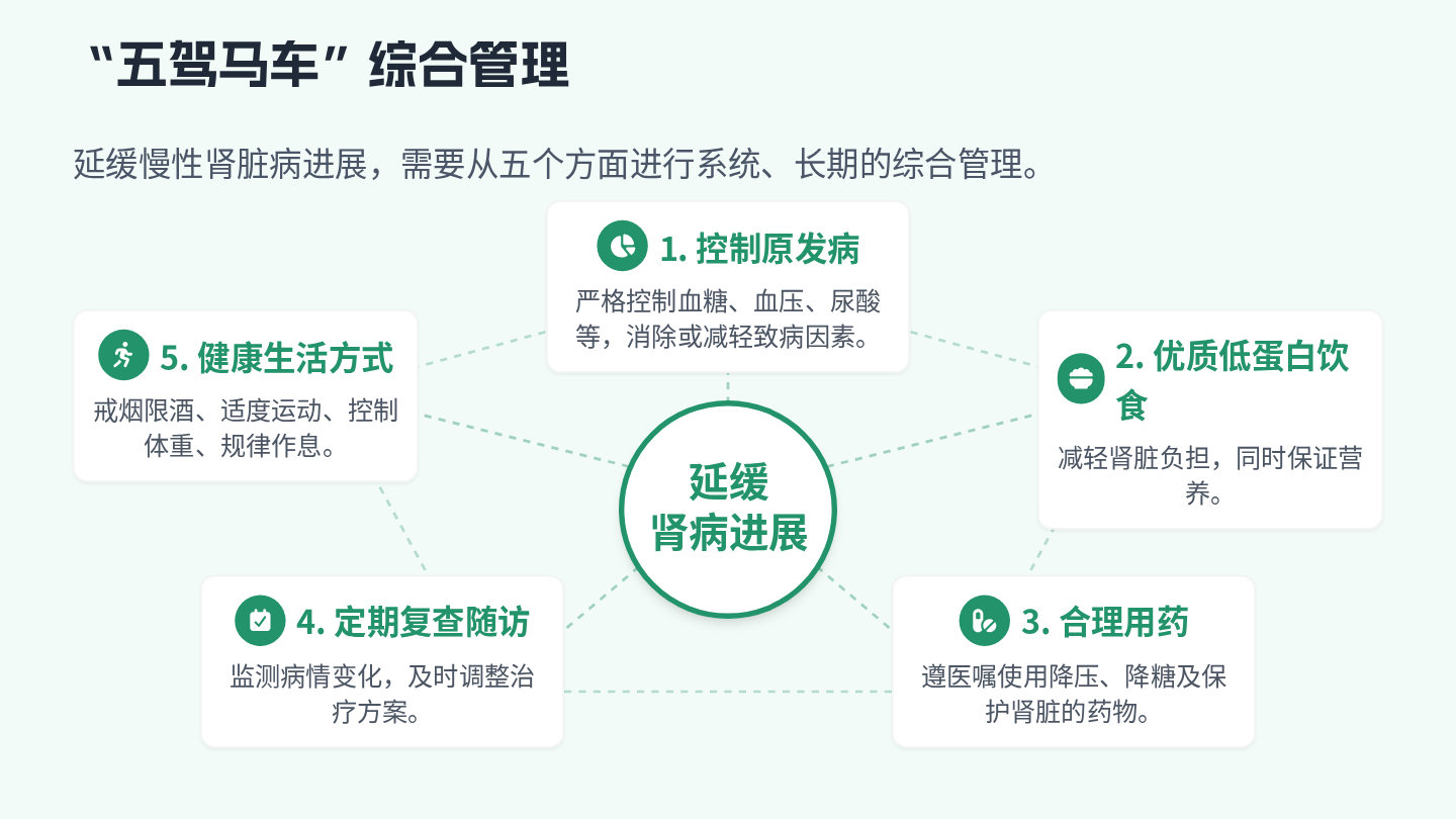 慢性肾脏病健康宣教 第13页