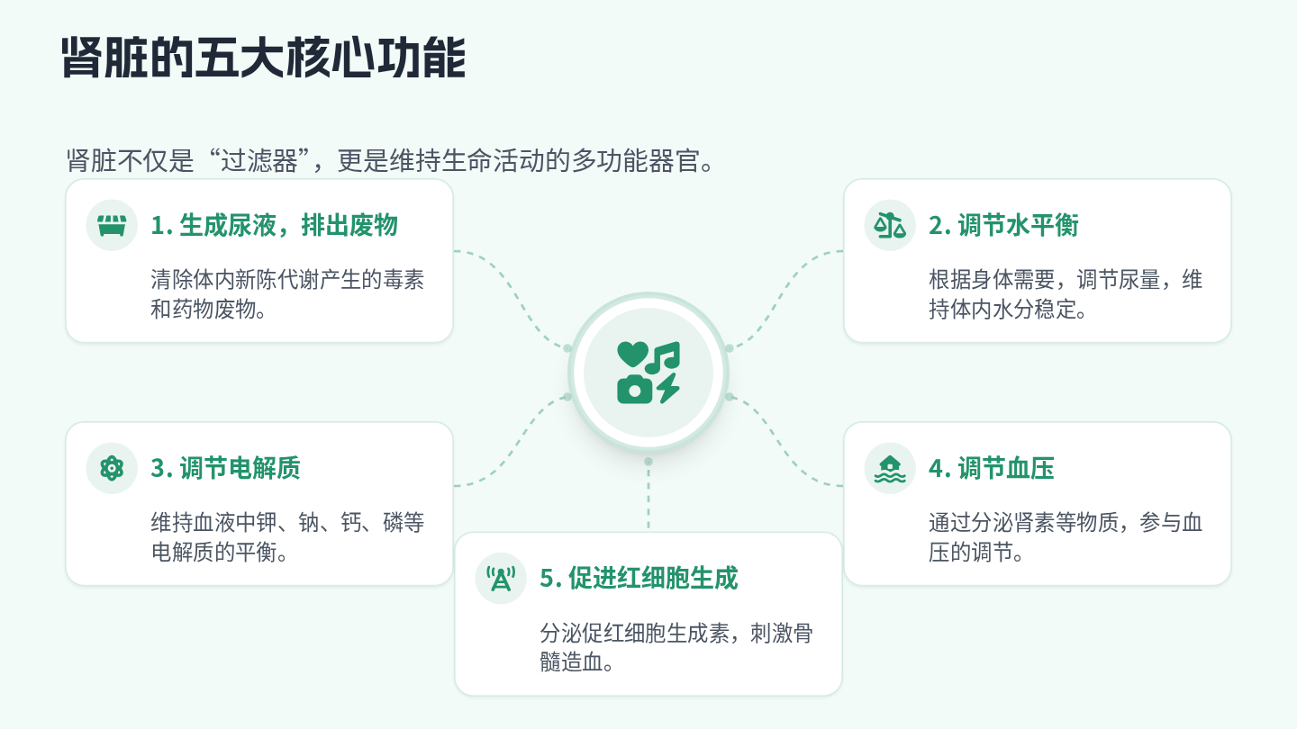 慢性肾脏病健康宣教 第6页