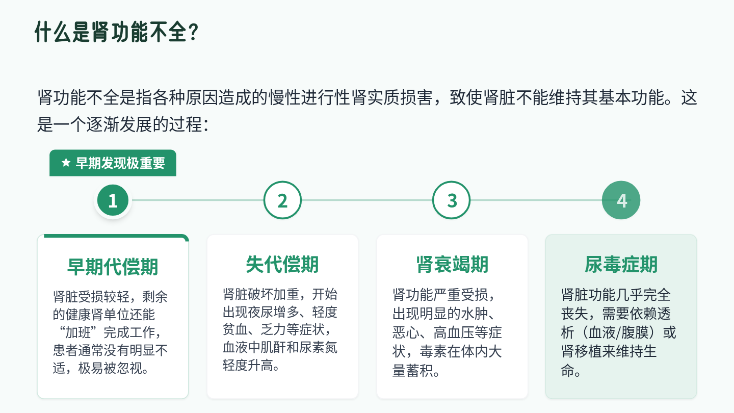 肾功能不全健康宣教 第4页