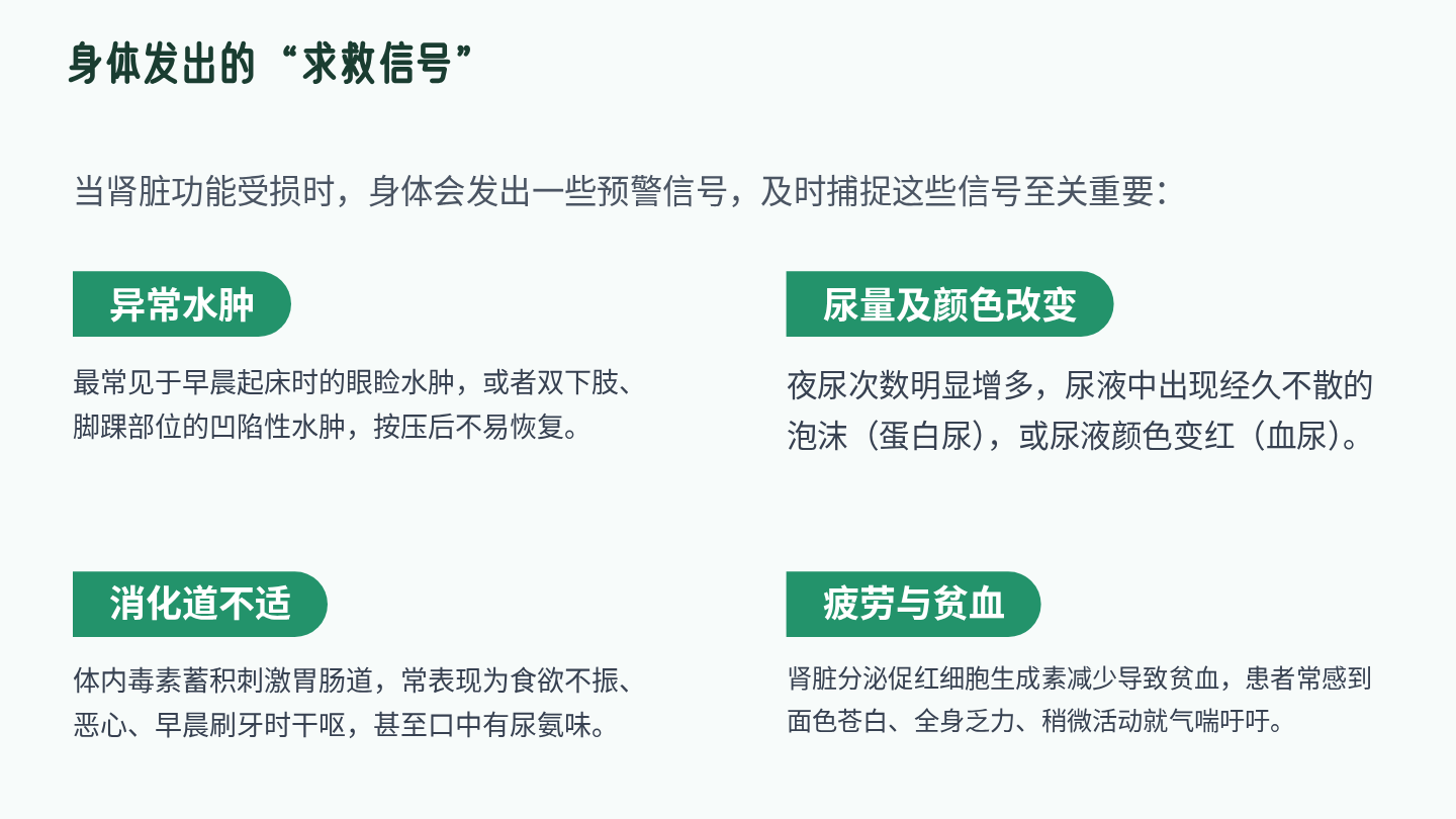 肾功能不全健康宣教 第5页