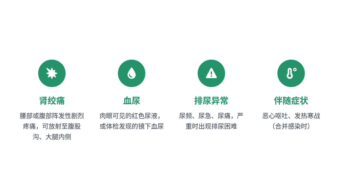 肾结石健康宣教 第7页