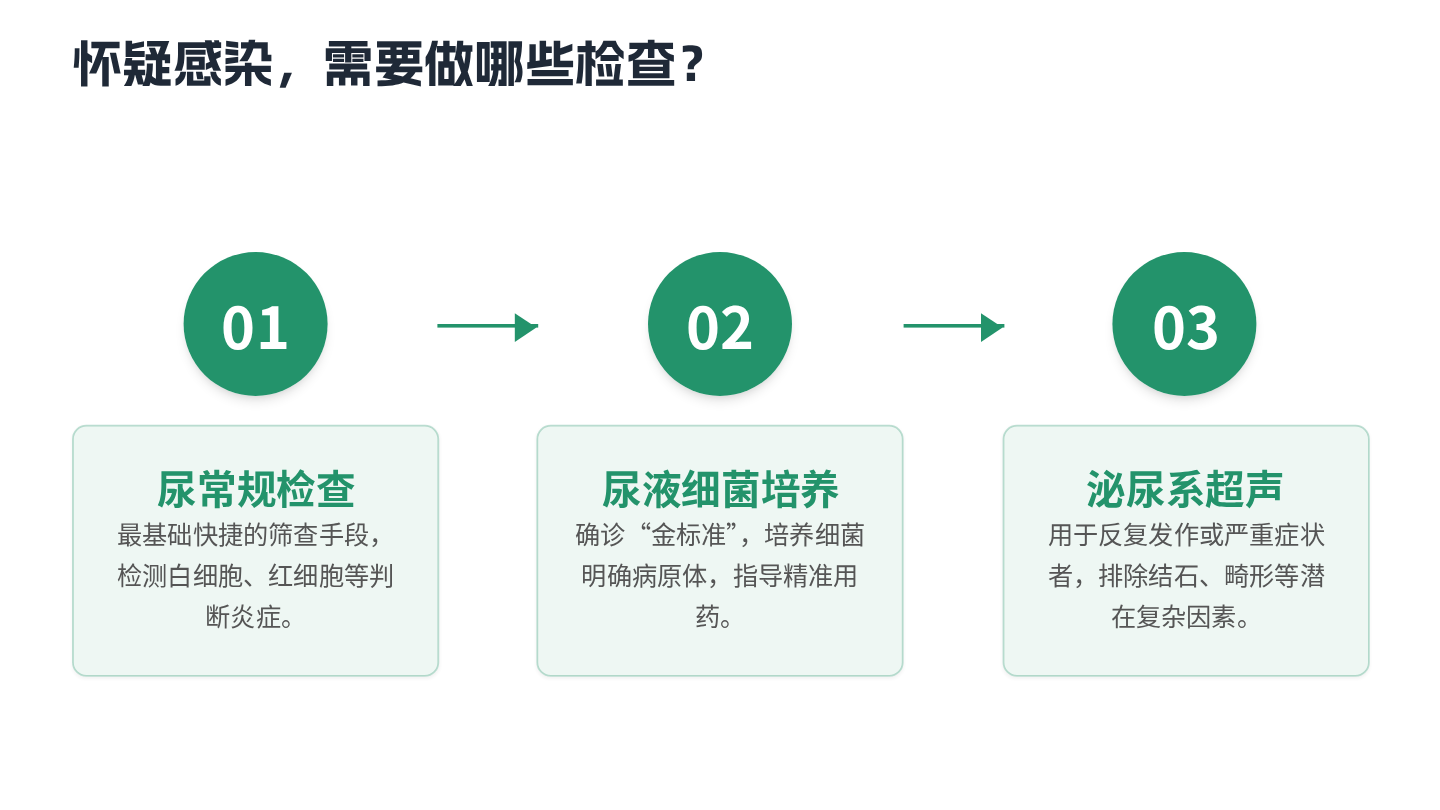 尿路感染健康宣教 第10页