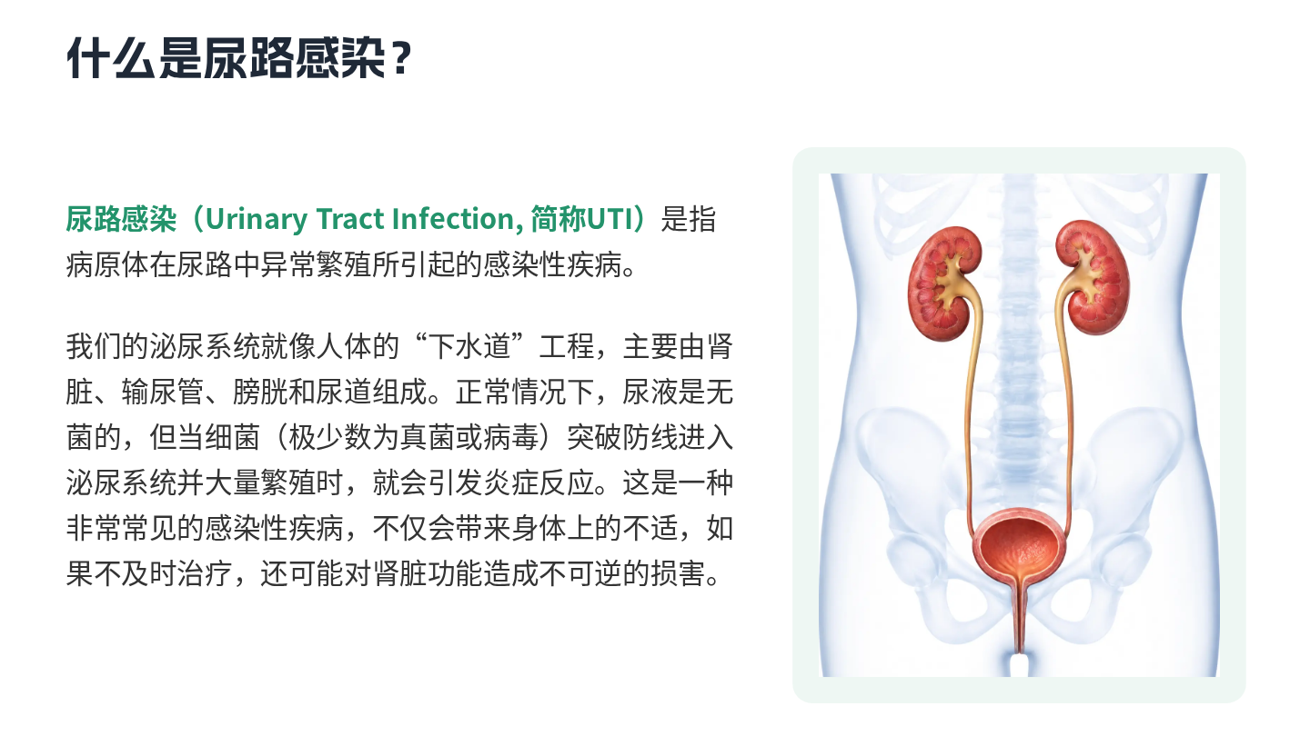尿路感染健康宣教 第3页