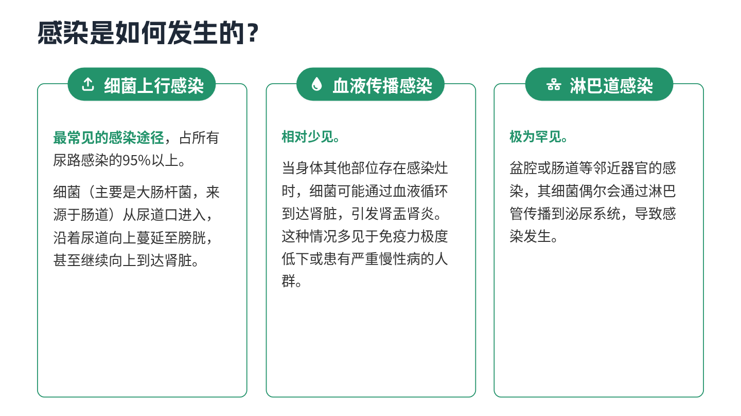 尿路感染健康宣教 第5页
