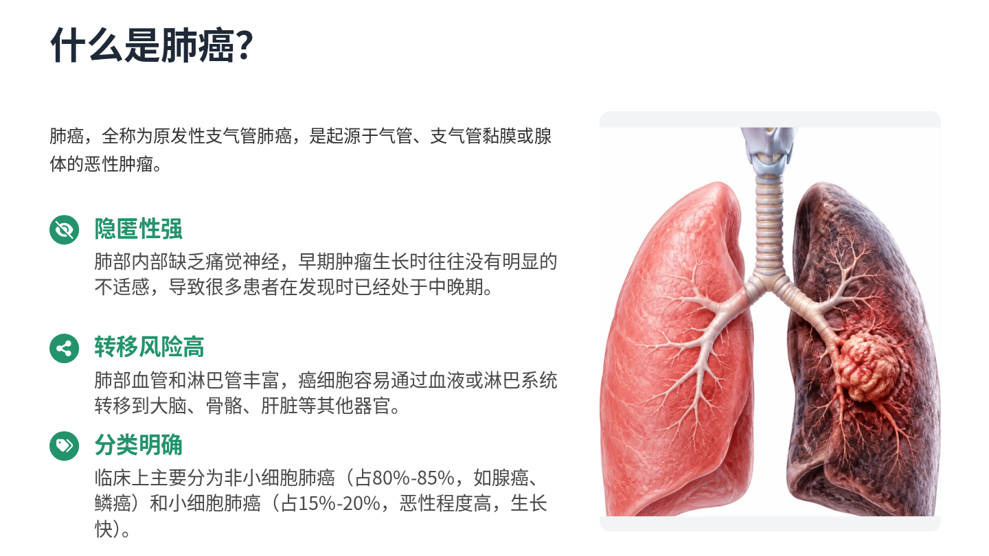 肺癌健康宣教 第4页