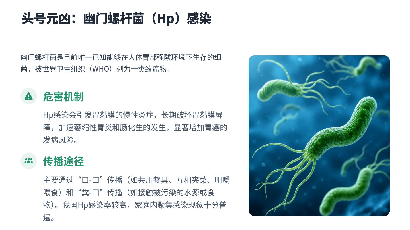 胃癌健康宣教 第7页
