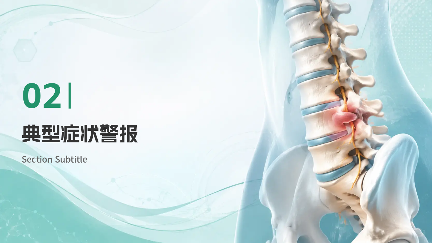 腰椎间盘突出健康宣教 第7页
