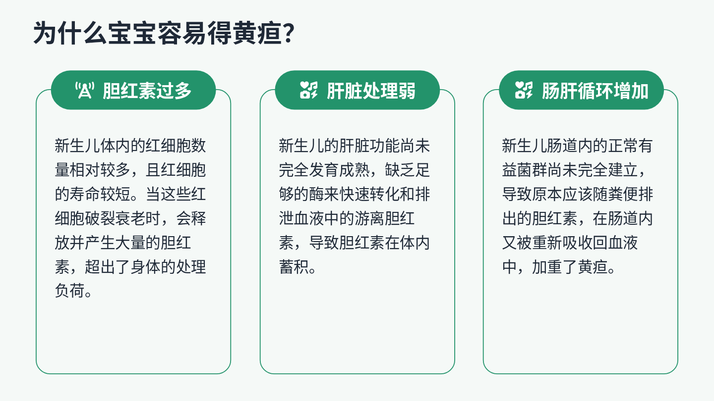 新生儿黄疸健康宣教 第4页