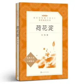 《荷花淀》读书分享 封面