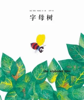 《字母树》读书分享 封面