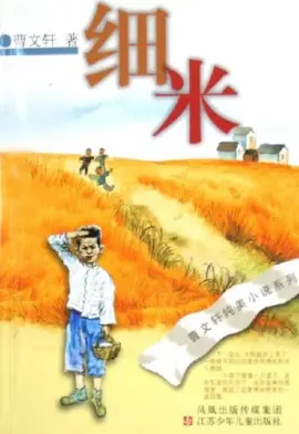 《细米》读书分享 封面