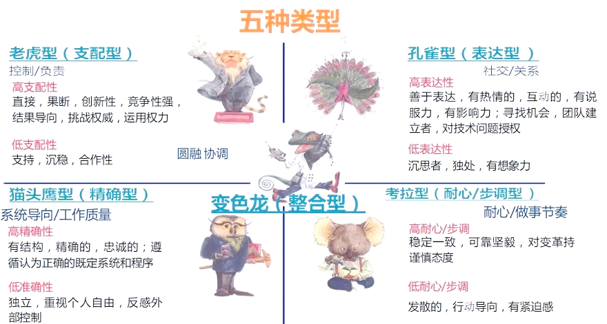 PDP职业性格测试报告示意图